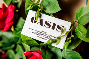 OASIS