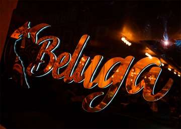 Beluga